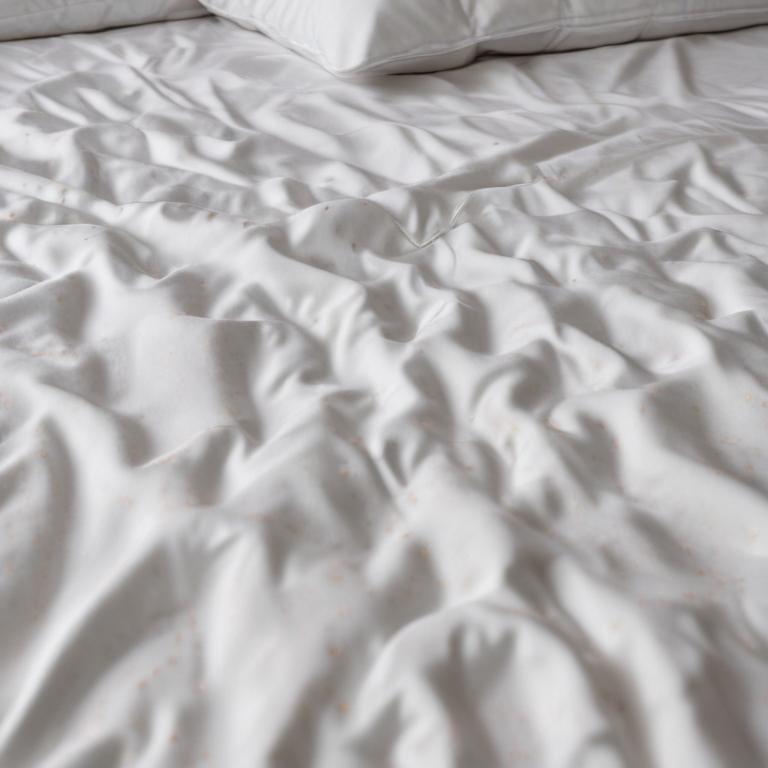 bed - 更多图片 (modelslab_realistic_v2)