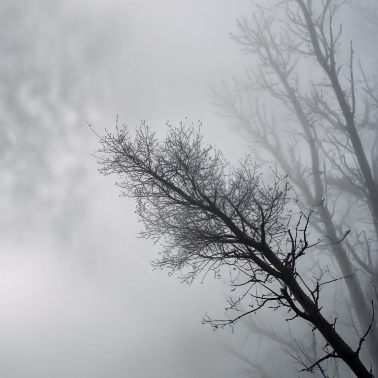 fog - 更多图片 (modelslab_realistic_v2)
