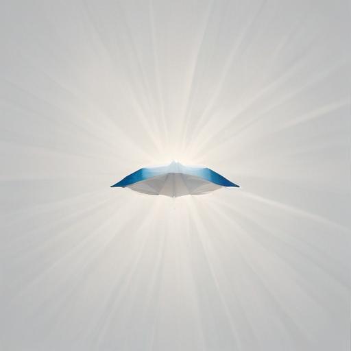 单词“rays”的助记图片