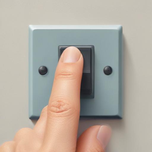 单词“switch”的助记图片